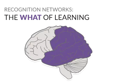 Recognition Networks: The What of Learning